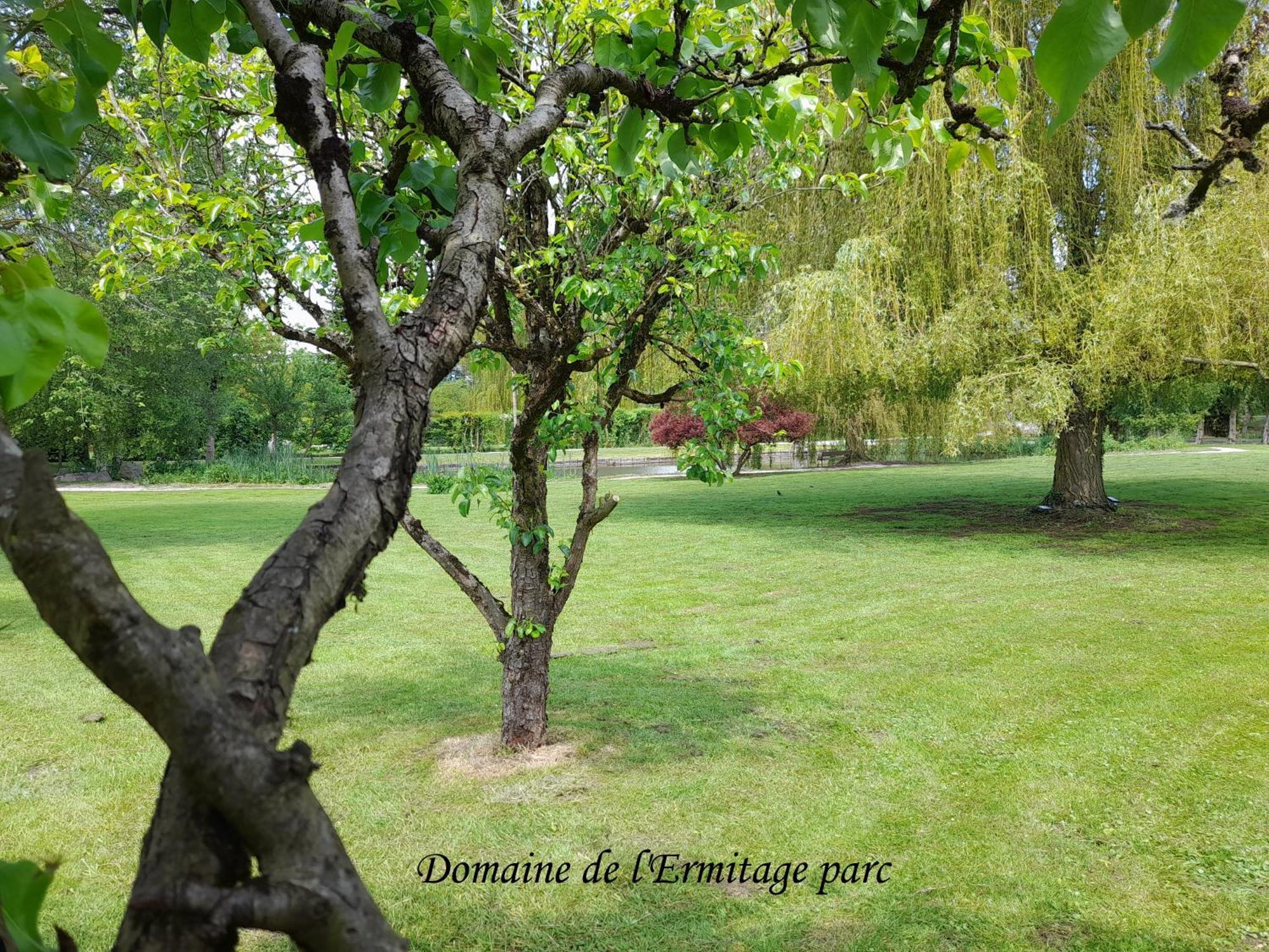 Domaine De L'Ermitage Villa Rue  Bagian luar foto